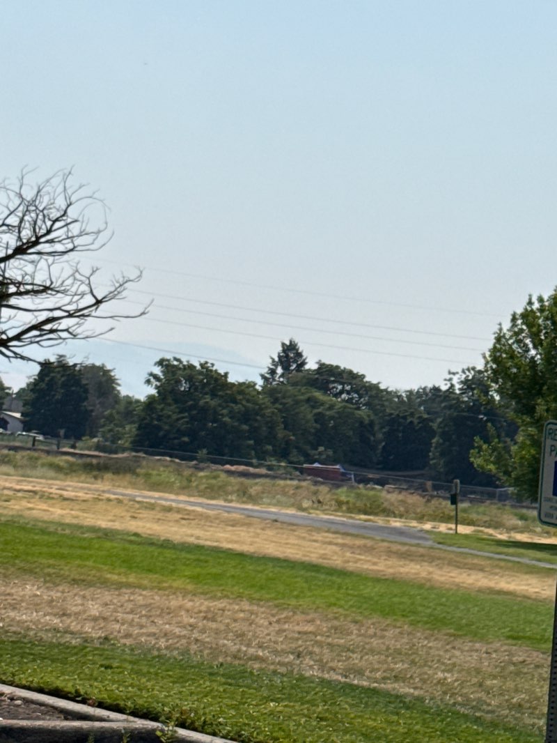 walking near me in Lions Park in summer