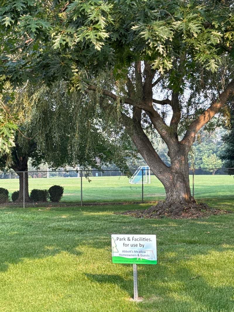 walking near me in Murr Field in summer