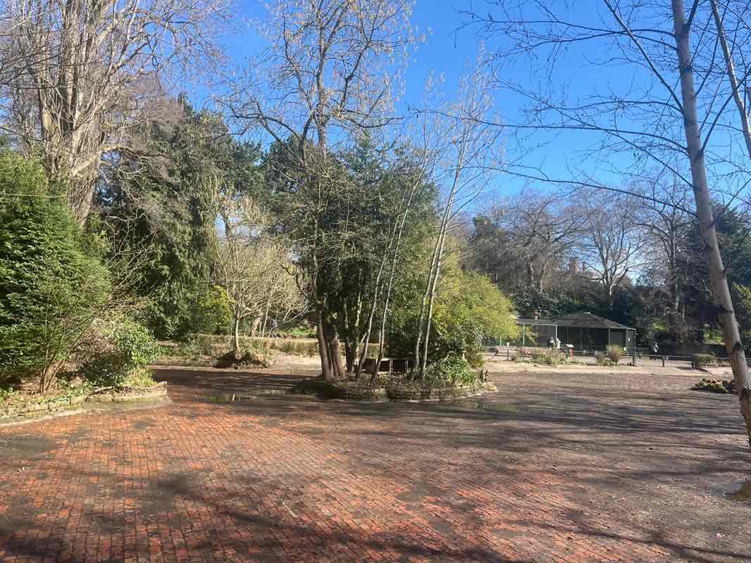 walking near me in Arboretum in spring