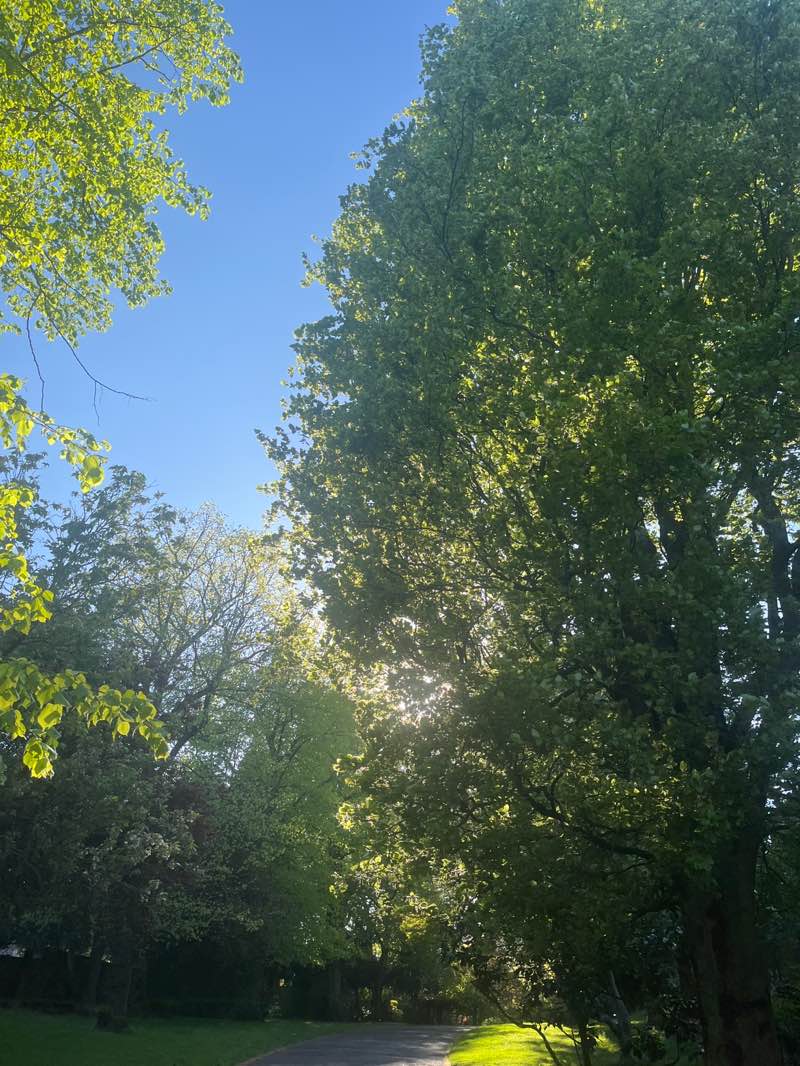 walking near me in Arboretum in spring