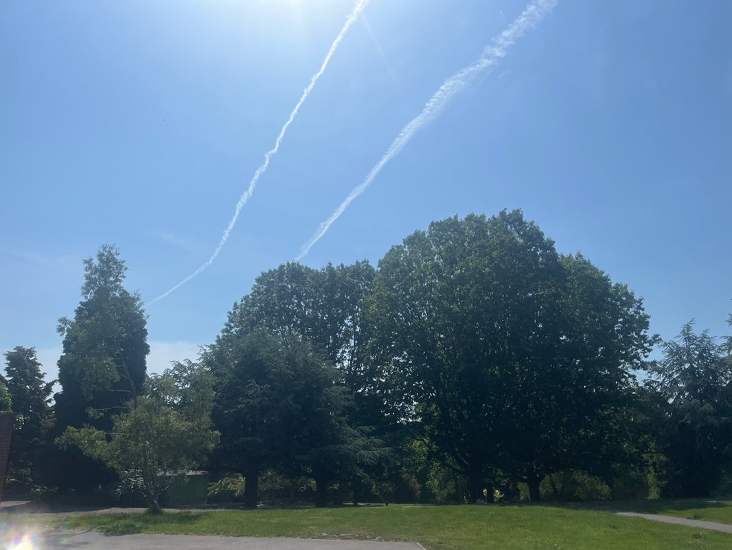 walking near me in Arboretum in summer