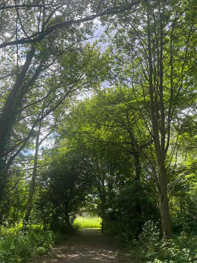 walking near me in Sandy Banks in spring