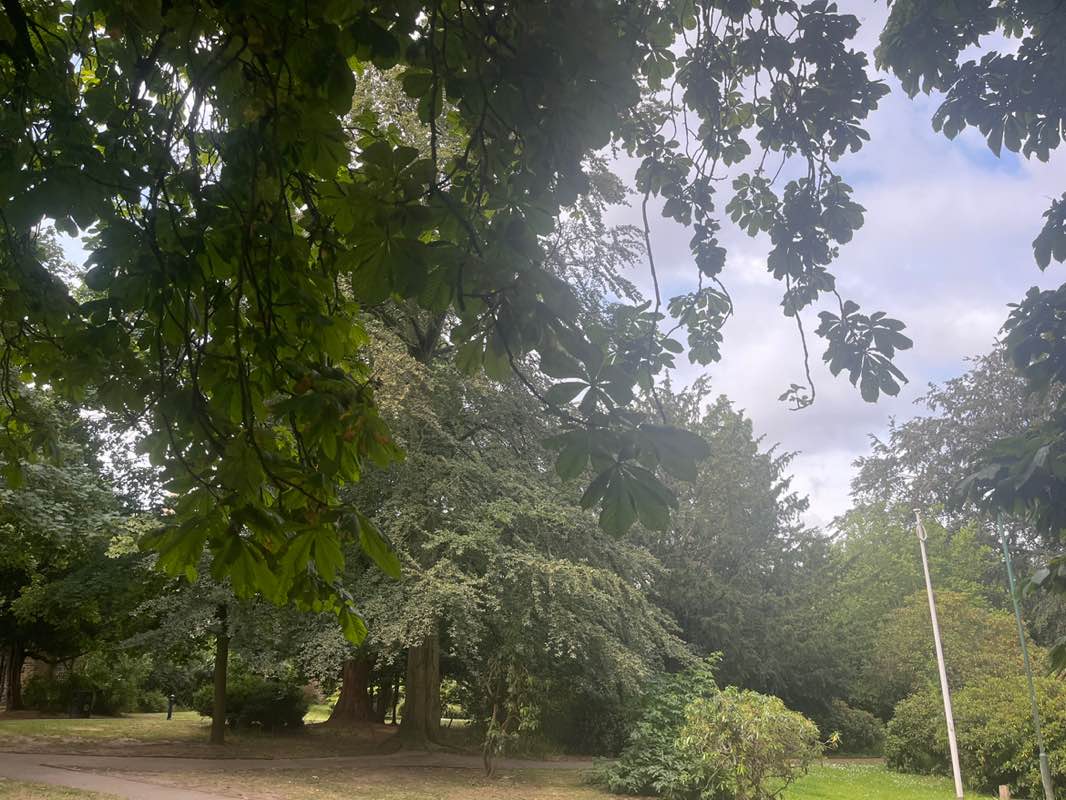 walking near me in Woodthorpe Grange Park in summer