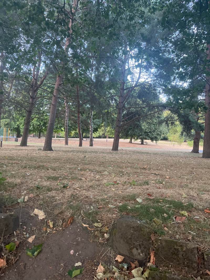 walking near me in Radford Recreation Ground in summer