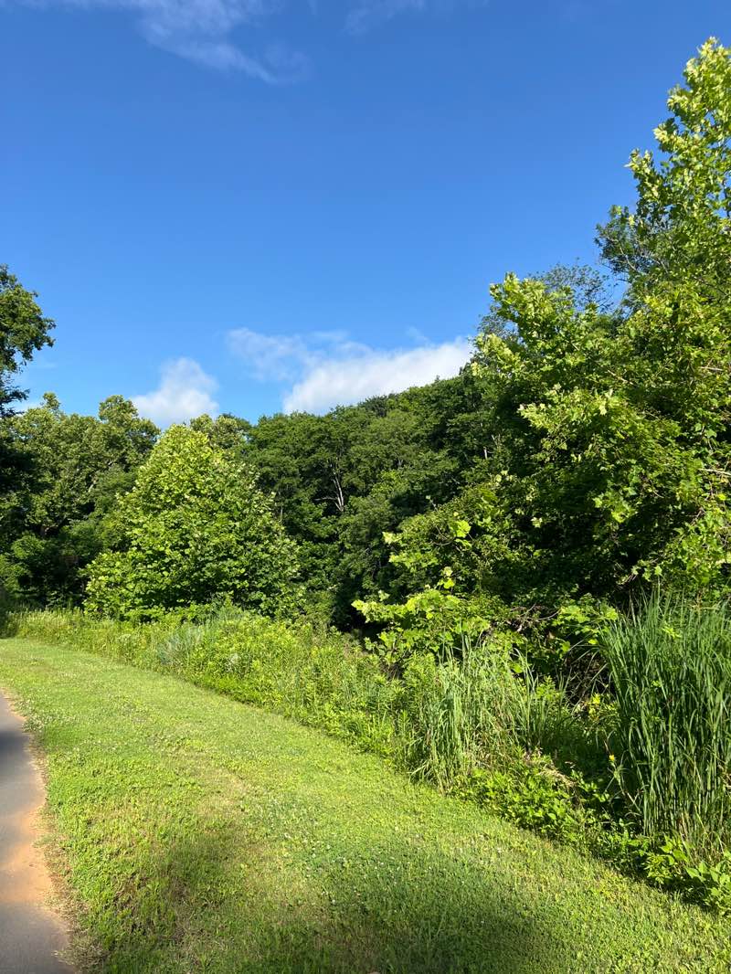 walking near me in Pineville Lake Park in summer