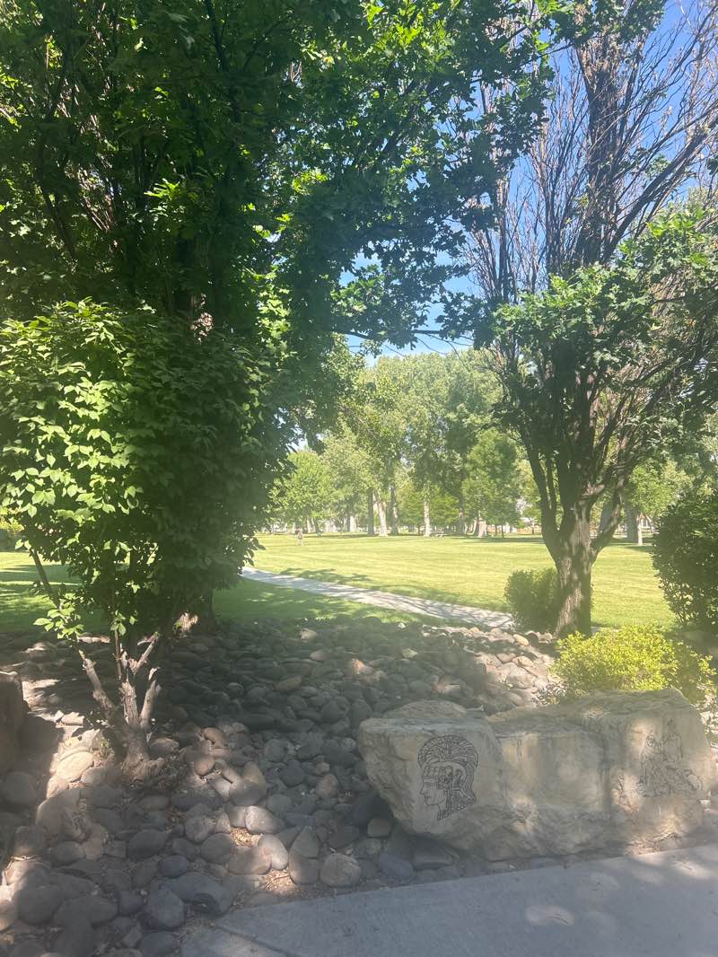 walking near me in Mills Park in summer