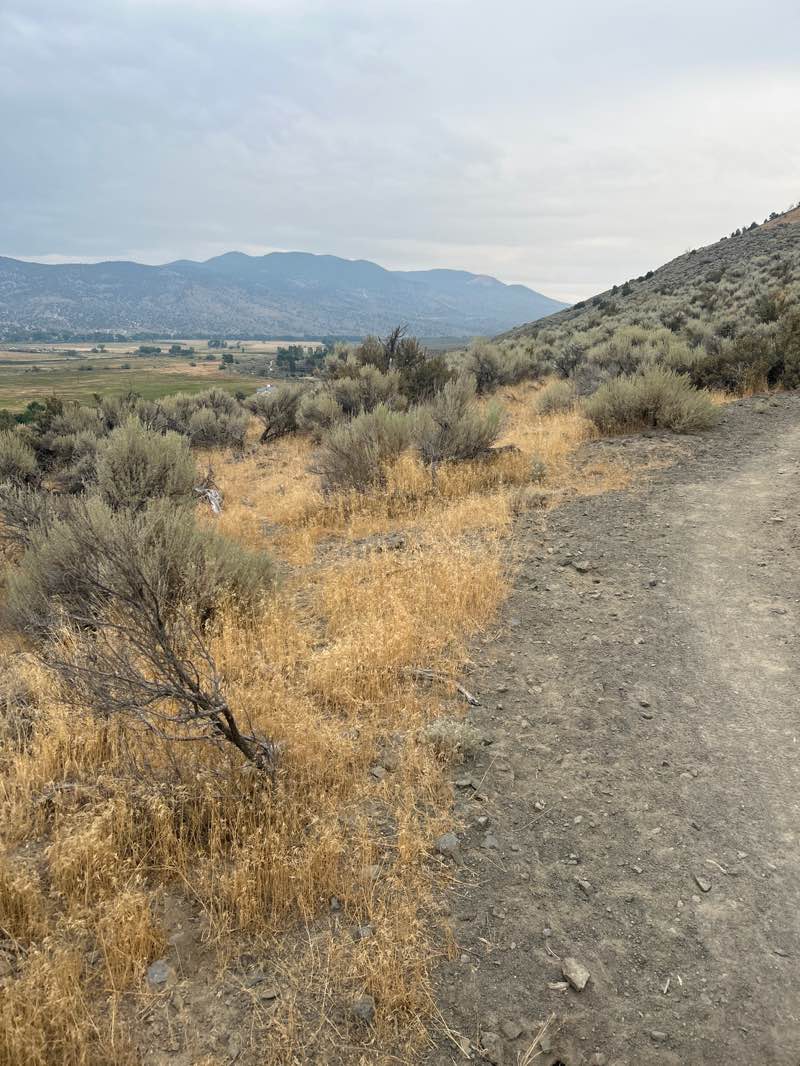 walking near me in Silver Saddle Ranch in summer