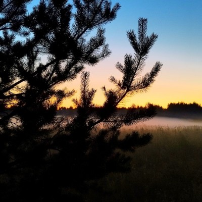 Все свои 🏃‍♀️ Александра post image