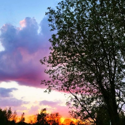 Все свои 🏃‍♀️ Александра post image