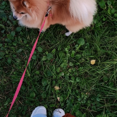 🌼🦆🌿 СВОИ 🦋🌻🌸 Александра post image