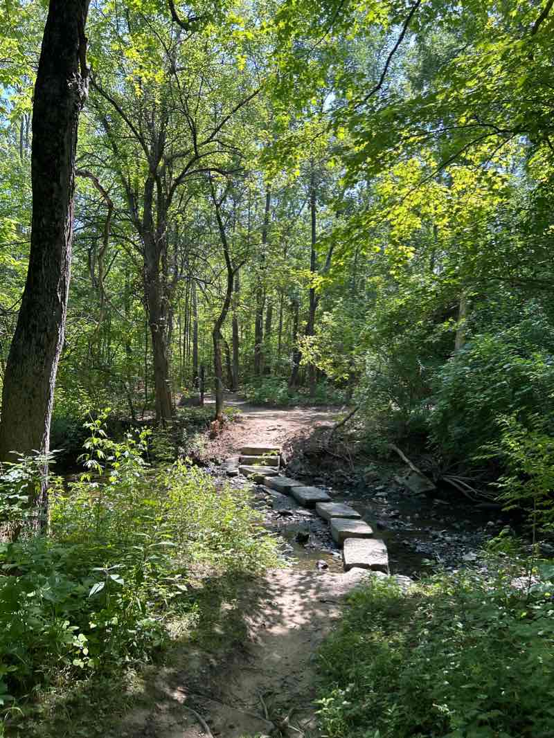 walking near me in Forest Field Park in winter