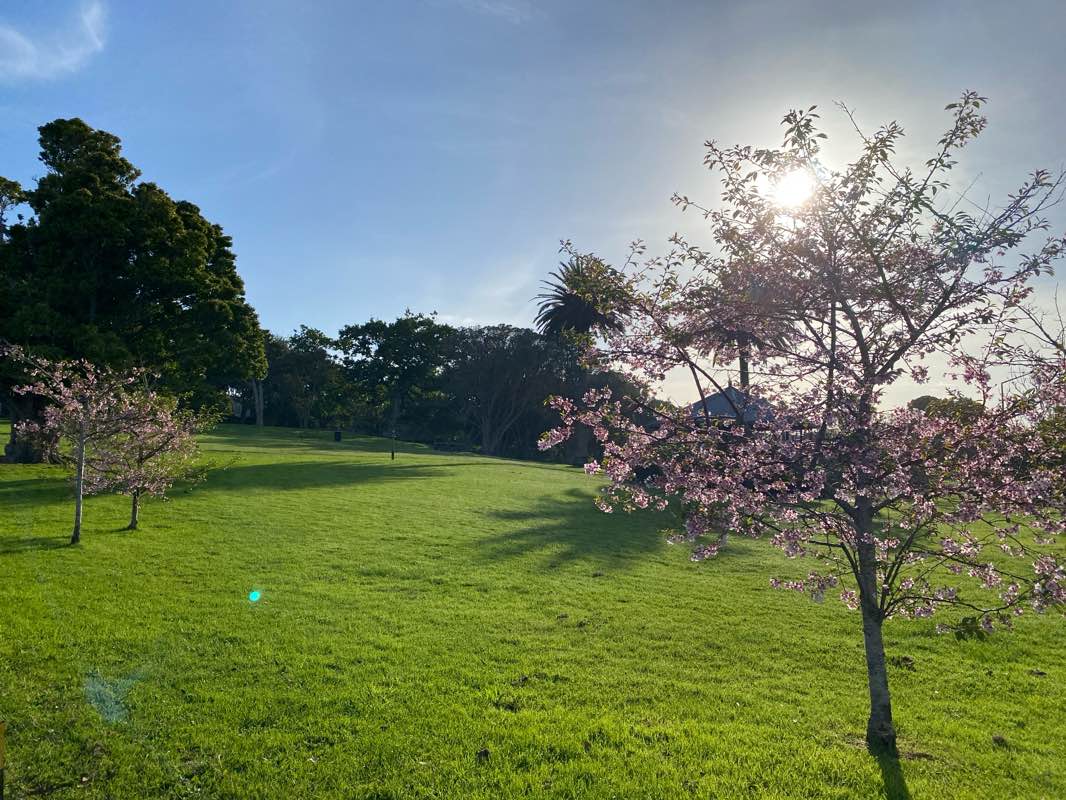 walking near me in Mount Eden in spring
