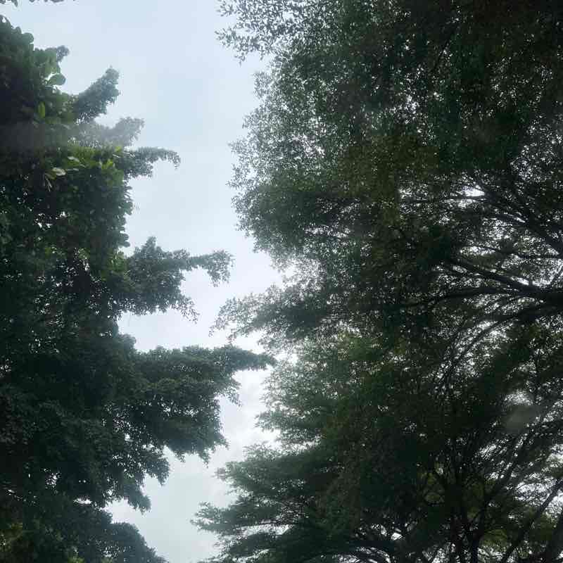 Eve post 1