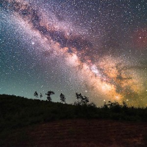 ✨️fatemeh✨️ profile