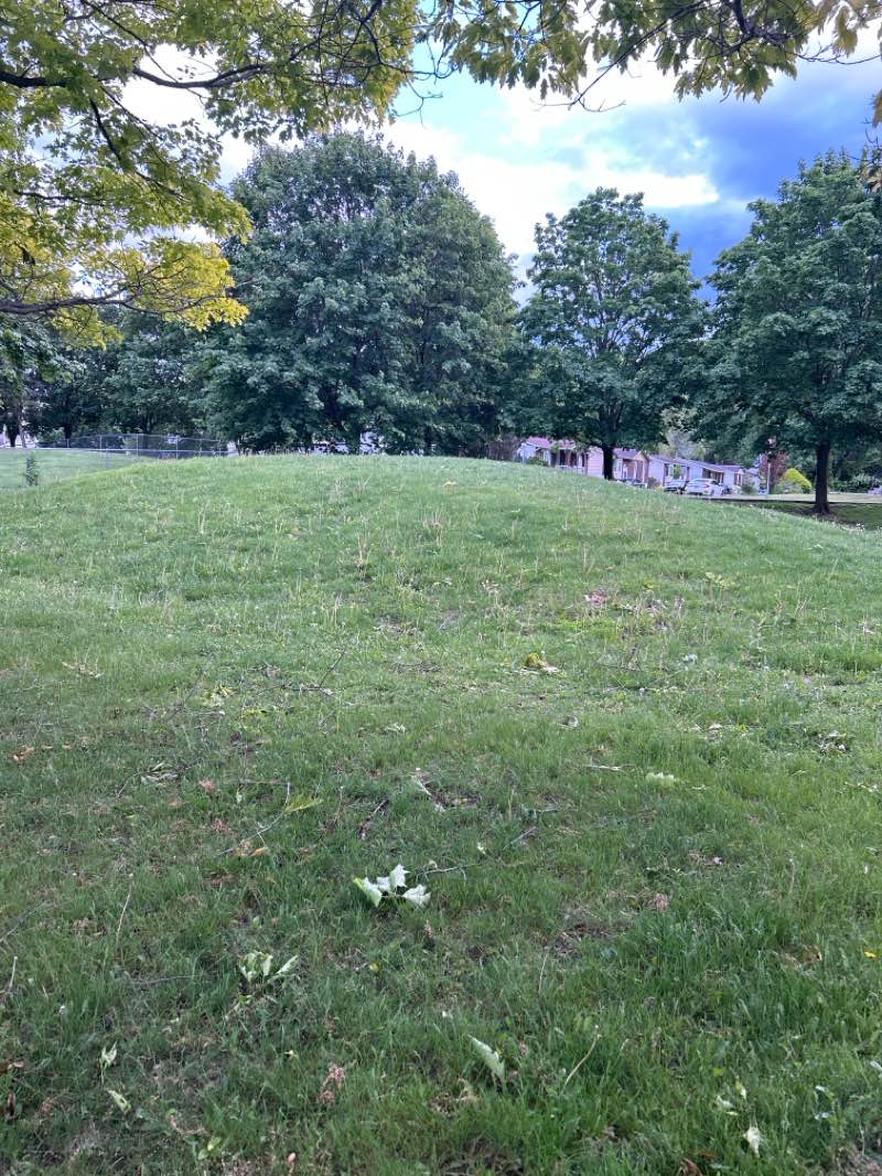 walking near me in Parc Alfred-Dorais in summer