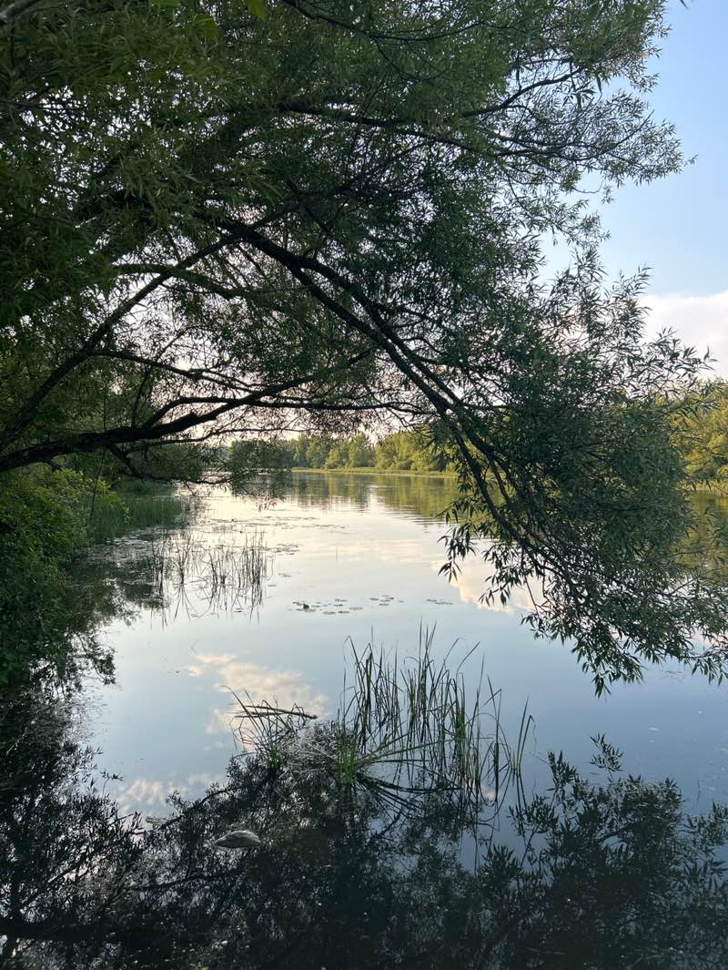 walking near me in Parc de la Commune in summer