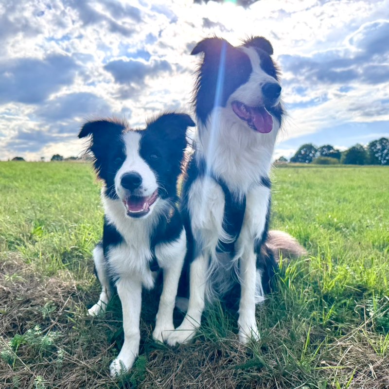 Sabrina, Smilla & Kelly