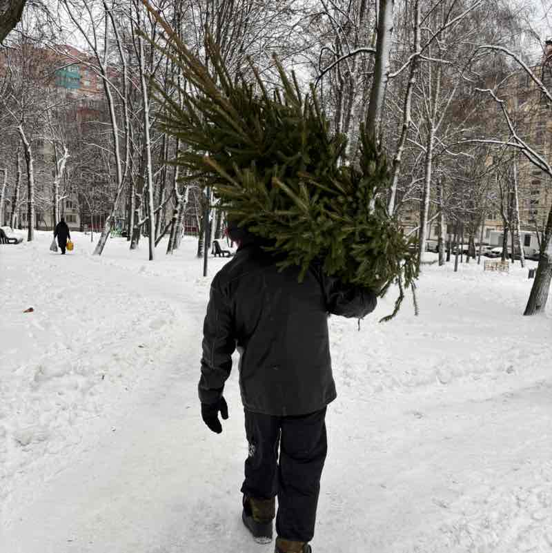 Людмила post 2