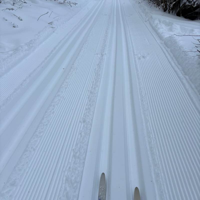 Людмила post 2