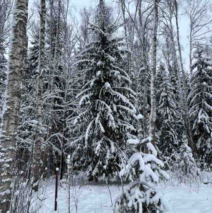 Людмила post 3