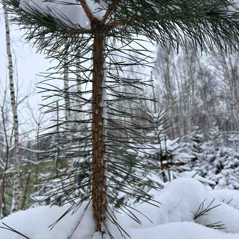 Людмила post 3