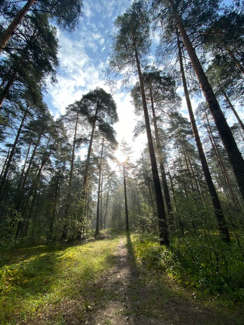 walking near me in Сказка in winter