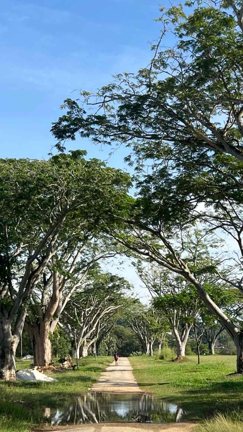 walking near me in Bukit Ekspo UPM in autumn