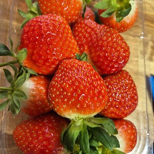 제조_승성민 profile