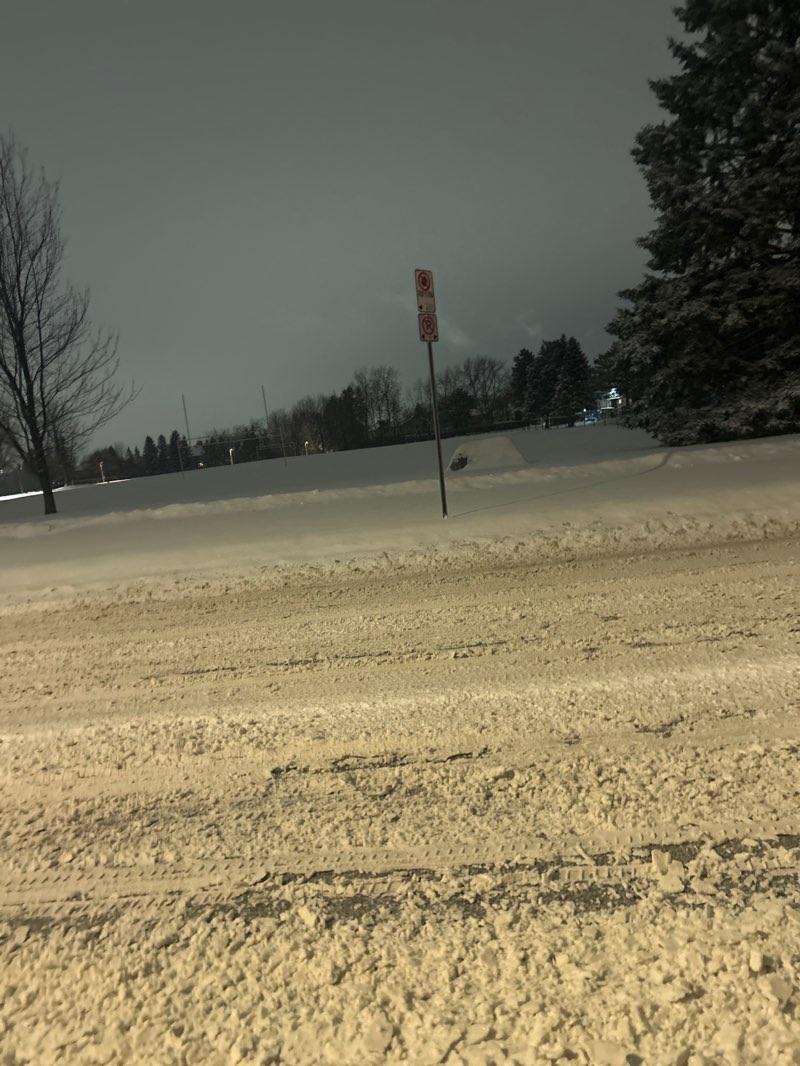 walking near me in Conroy Park in winter