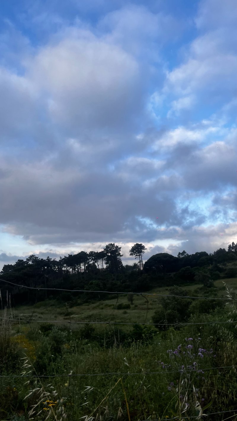 walking near me in Urban and Linear Park Dom Domingos Jardo in spring