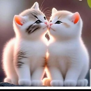 biji t Joseph profile