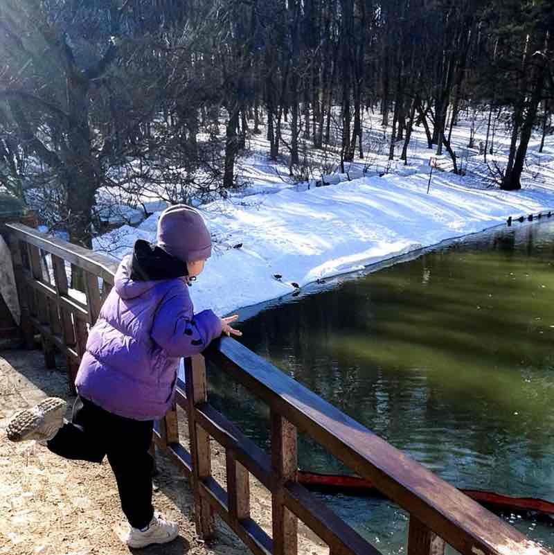 WOOD GOLDEN🤽‍♂️ post 1