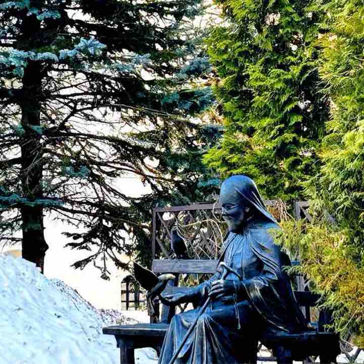 WOOD GOLDEN🤽‍♂️ post 2