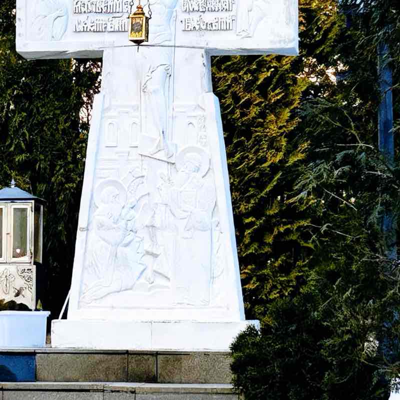 WOOD GOLDEN🤽‍♂️ post 3