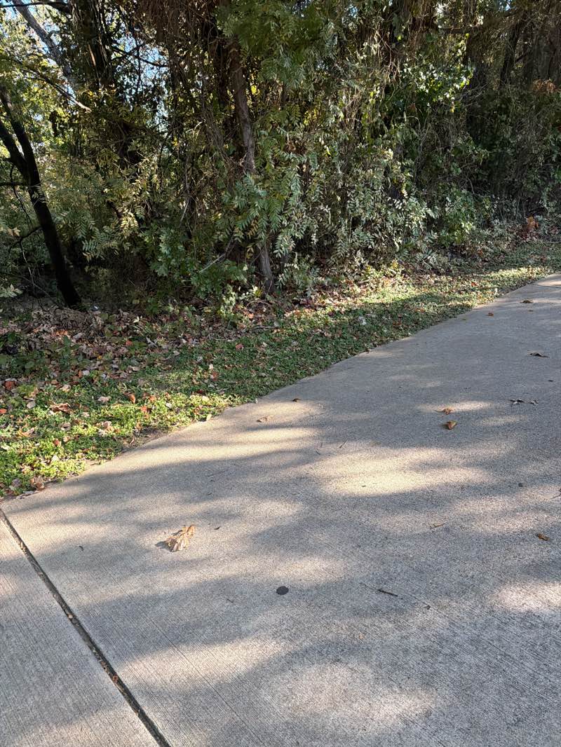walking near me in Andrew Brown Park West in autumn
