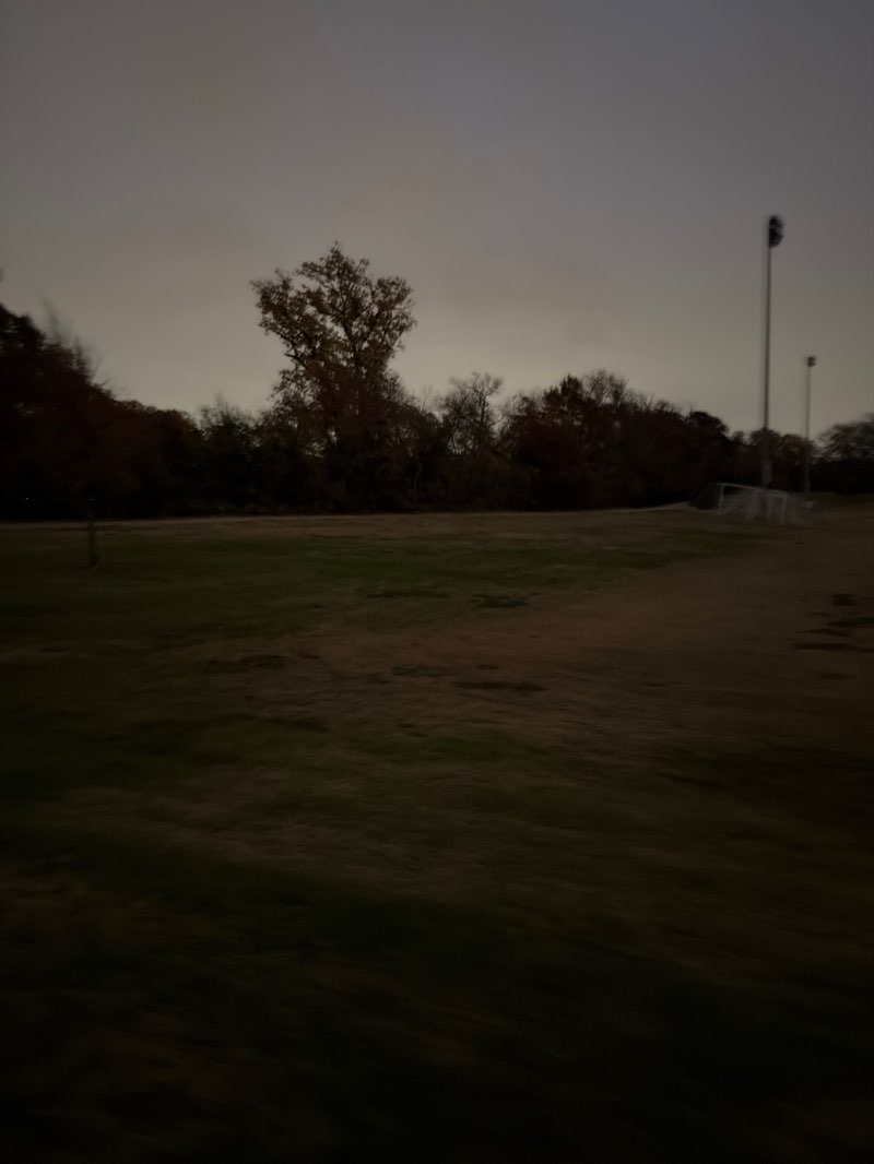 walking near me in Andrew Brown Park West in winter