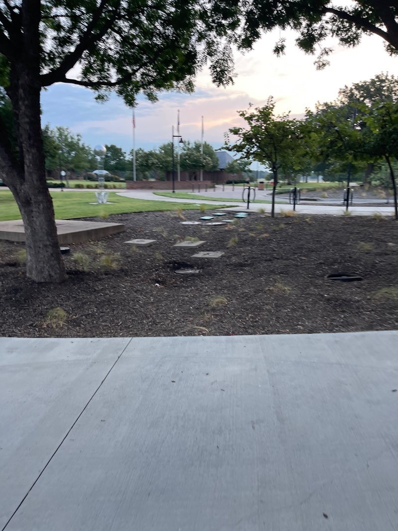 walking near me in Andrew Brown Park East in autumn