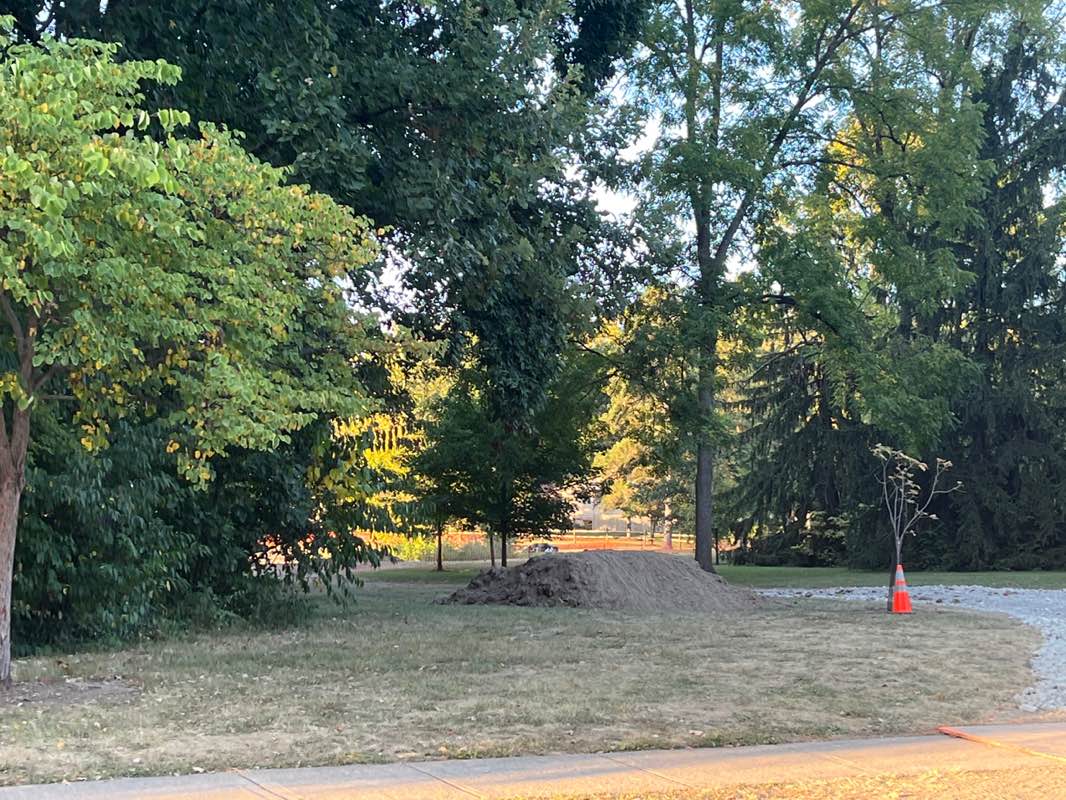 walking near me in Rosewood Park in autumn