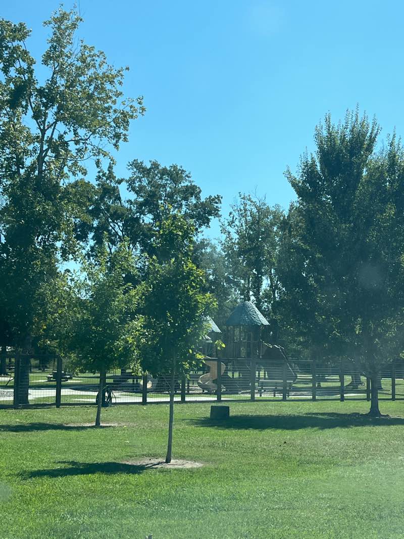 walking near me in Tuten Park in autumn