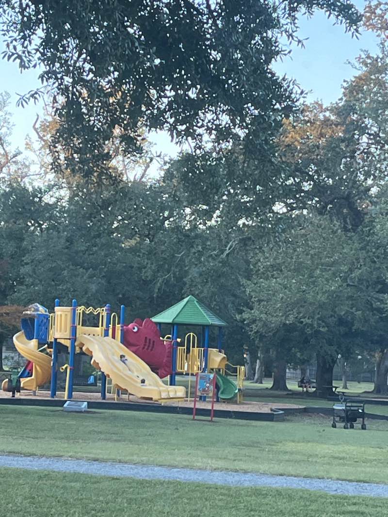 walking near me in Drew Park in autumn