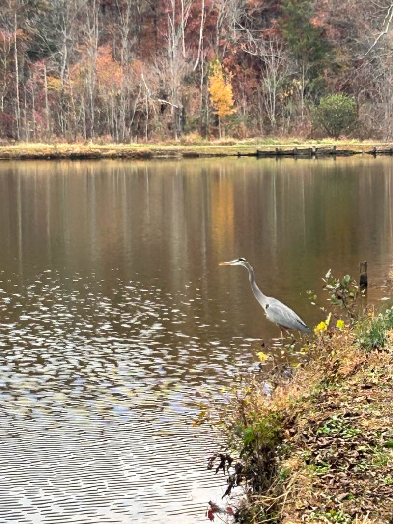 walking near me in McAlpine Creek Park in winter