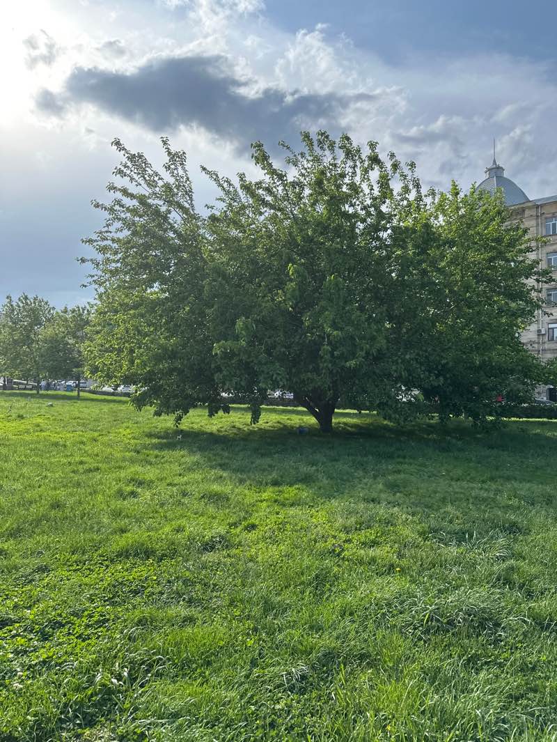 walking near me in Winter Park in spring