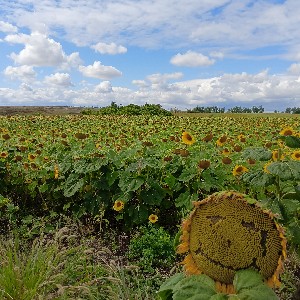 Азамат Ямалетдинов profile