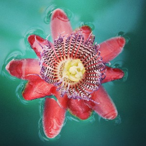 제조_박종철 icon