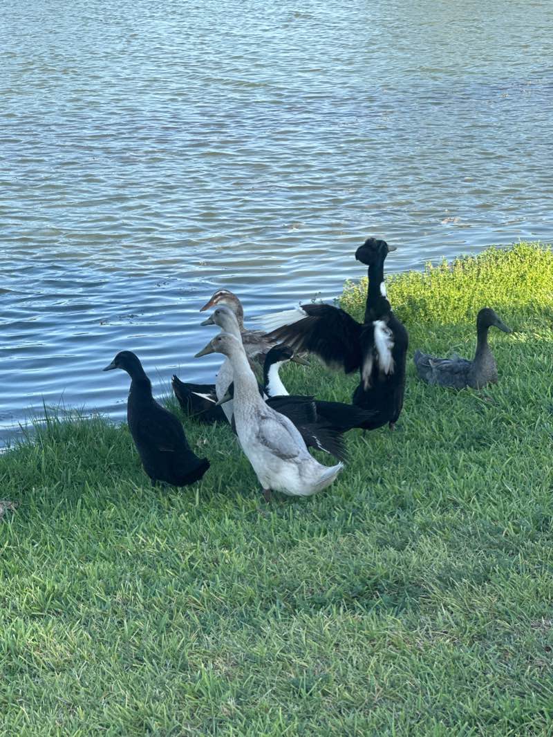 walking near me in La Vista Park in winter