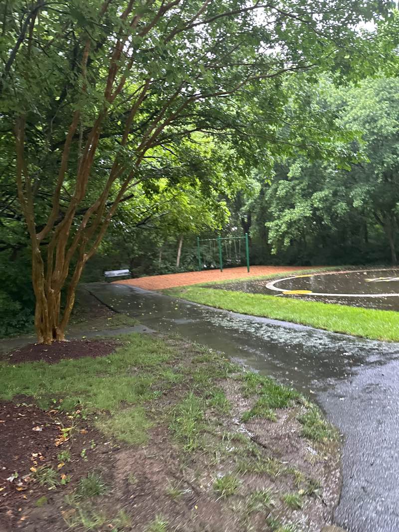 walking near me in Hillside Park in summer