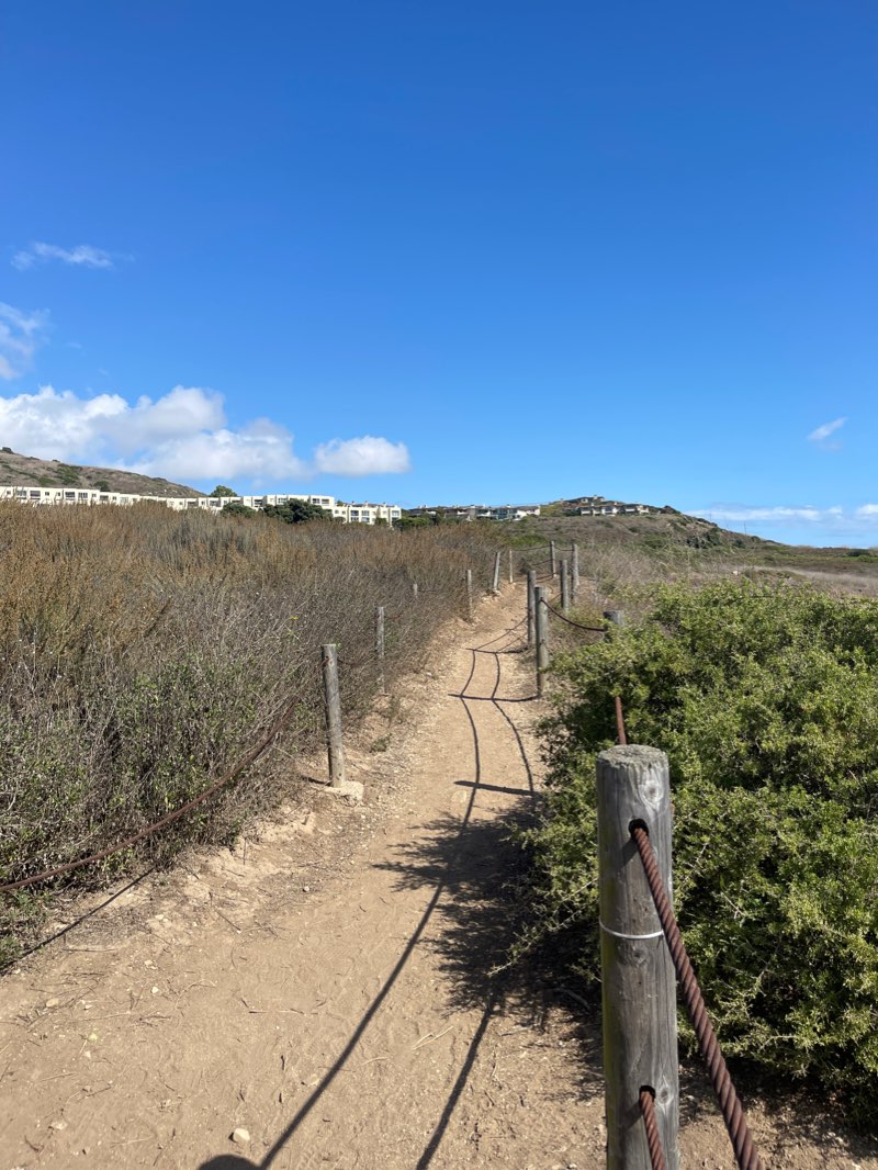 walking near me in Founders Park in winter