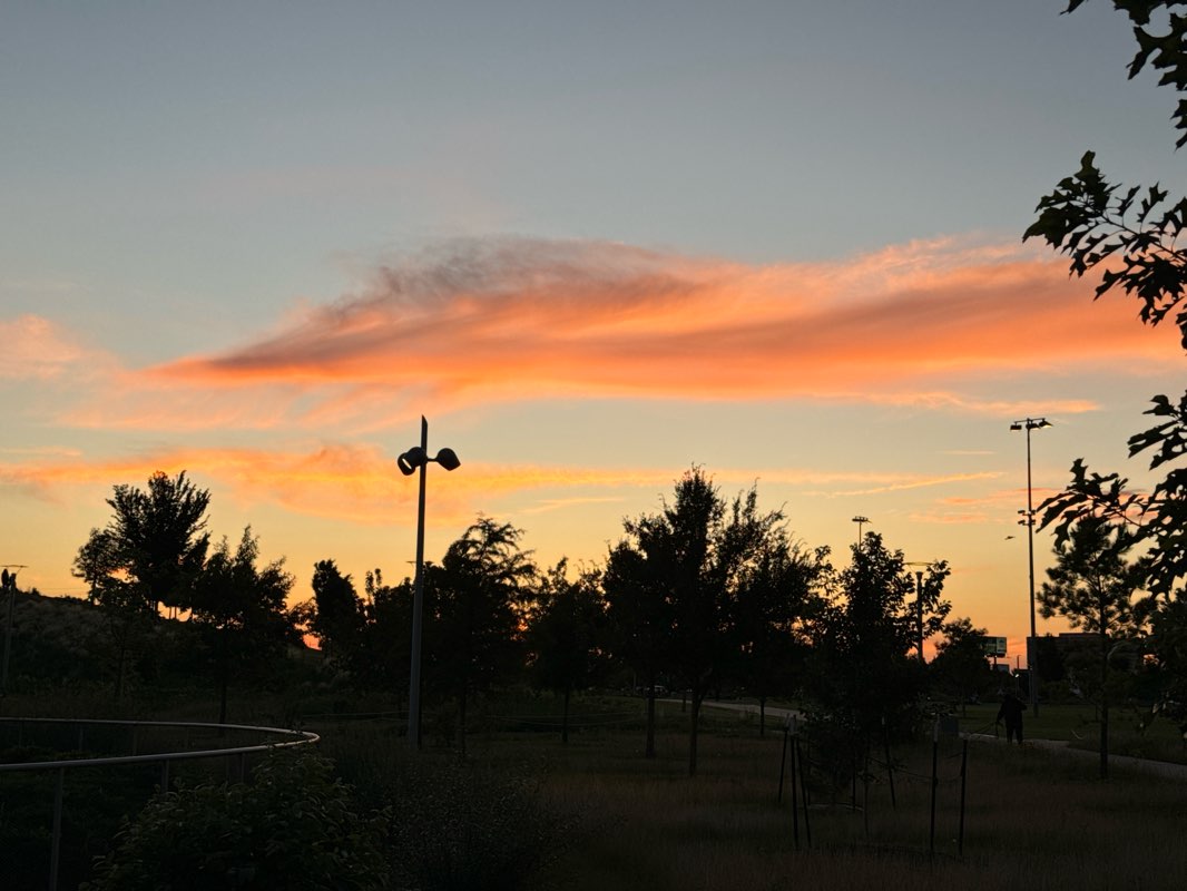 walking near me in Myriad Botanical Gardens in winter