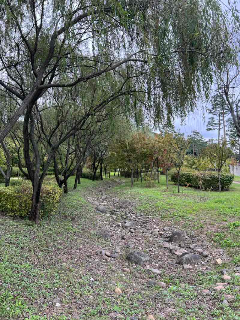 walking near me in 율현공원 in autumn