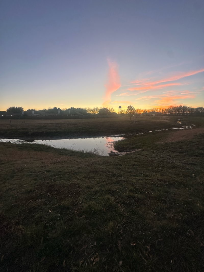 walking near me in Hewitt Park in winter